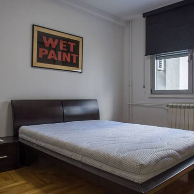Rental of a 2-room apartment near the Temple of Saint Sava, 56 m², Vračar, Belgrade, Serbia
